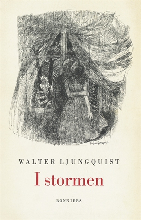 I stormen (e-bok) av Walter Ljungquist