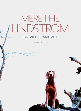 Ur vinterarkivet (e-bok) av Merethe Lindström