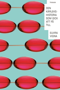 Den kärlekshistoria som gick att få till (e-bok