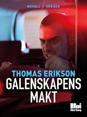 Galenskapens makt (e-bok) av Thomas Erikson