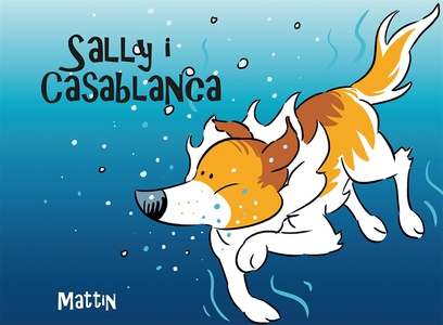 Sally i Casablanca (e-bok) av Mattin