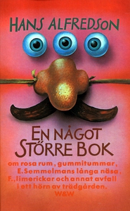 En något större bok : Om rosa rum, gummitummar,