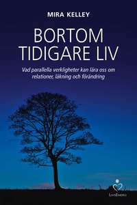 Bortom tidigare liv - Vad parallella verklighet