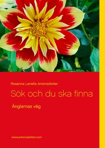Sök och du ska finna: Änglarnas väg (e-bok) av