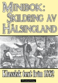 Minibok: Skildring av Hälsingland år 1882