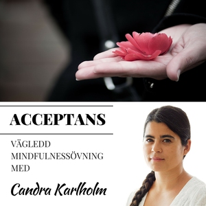Mindfulness Acceptans (ljudbok) av Candra Karlh