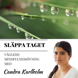 Mindfulness Släppa taget (ljudbok) av Candra Ka