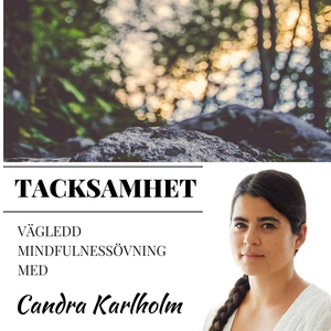 Mindfulness Tacksamhet (ljudbok) av Candra Karl