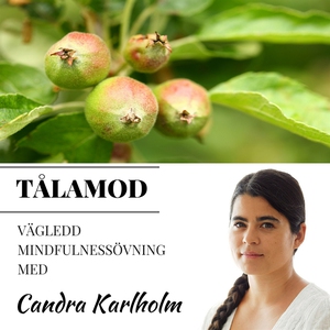 Mindfulness Tålamod (ljudbok) av Candra Karlhol