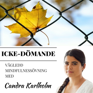 Mindfulness Icke Dömande (ljudbok) av Candra Ka