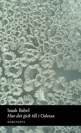 Hur det gick till i Odessa (e-bok) av Isaak Bab