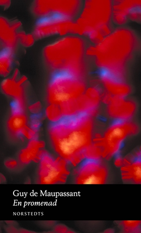 En promenad (e-bok) av Guy de Maupassant