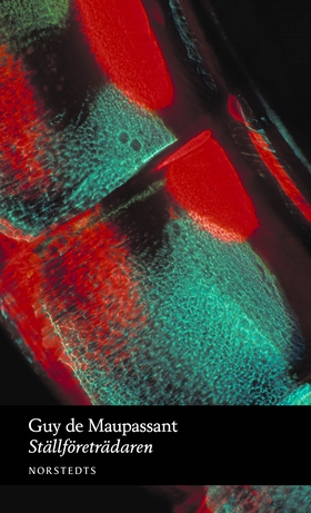 Ställföreträdaren (e-bok) av Guy de Maupassant