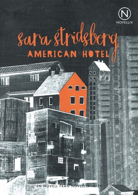 American Hotel (e-bok) av Sara Stridsberg