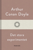 Det stora experimentet