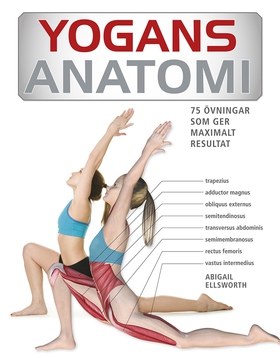 Yogans anatomi : 75 övningar som ger maximalt r