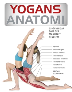 Yogans anatomi : 75 övningar som ger maximalt r