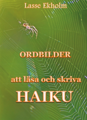 Ordbilder (e-bok) av Lasse Ekholm