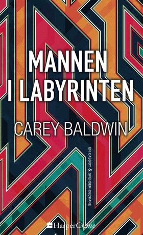 Mannen i labyrinten (e-bok) av Carey Baldwin