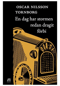 En dag har stormen redan dragit förbi (e-bok) a