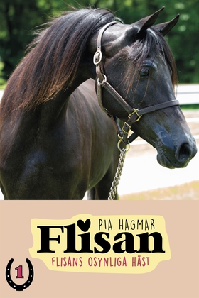 Flisan 1 - Flisans osynliga häst (e-bok) av Pia