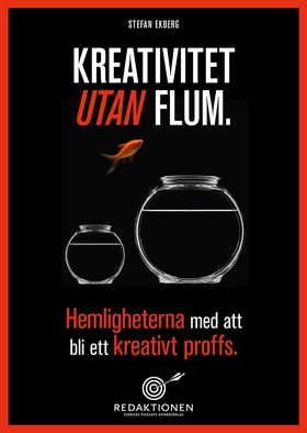 Kreativitet utan flum - Hemligheterna med att b