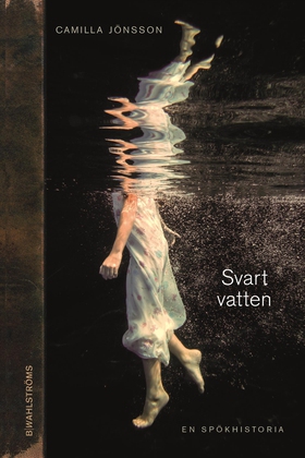 Svart vatten (e-bok) av Camilla Jönsson