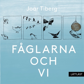 Fåglarna och vi (lättläst) (ljudbok) av Joar Ti