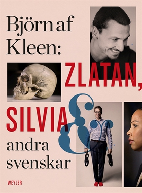 Zlatan, Silvia och andra svenskar (e-bok) av Bj