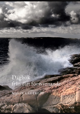 Dagbok från ditt försvinnande (e-bok) av Malin