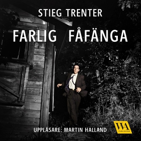 Farlig fåfänga (ljudbok) av Stieg Trenter