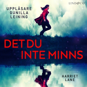 Det du inte minns (ljudbok) av Harriet Lane