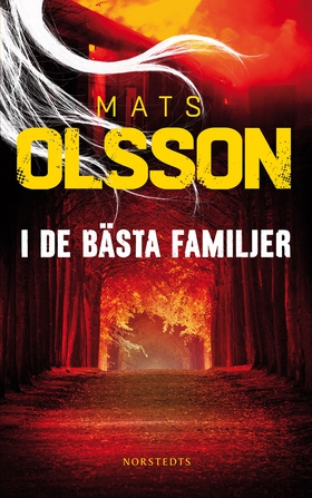 I de bästa familjer (e-bok) av Mats Olsson