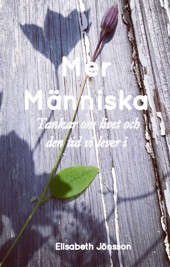 Mer Människa: Tankar om livet och den tid vi lever i (e-bok) av Elisabeth Jönsson