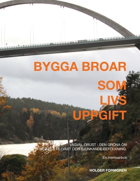Bygga broar: Som livsuppgift (e-bok) av Holger 