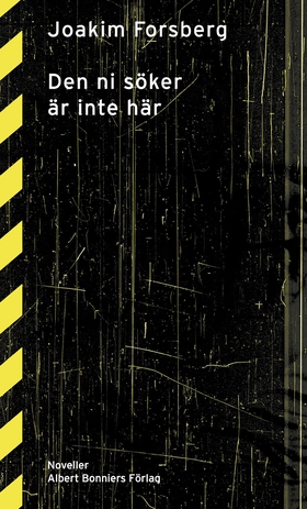 Den ni söker är inte här : Noveller (e-bok) av 