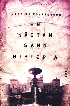 En nästan sann historia (e-bok) av Mattias Edva