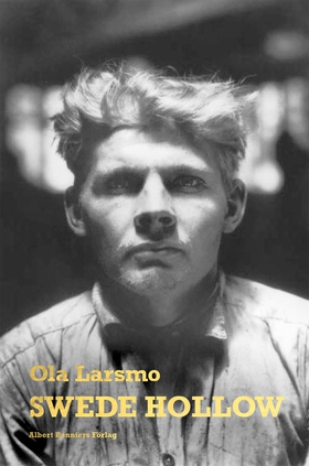 Swede Hollow (e-bok) av Ola Larsmo