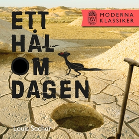 Ett hål om dagen (e-bok) av Louis Sachar