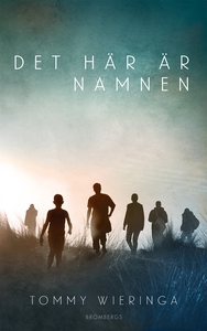 Det här är namnen (e-bok) av Tommy Wieringa