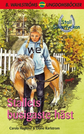 Stall Silverlyckan del 5 - Stallets busigaste h