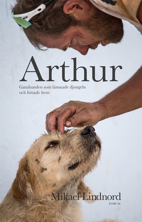 Arthur : gatuhunden som lämnade djungeln och hi