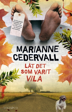 Låt det som varit vila (e-bok) av Marianne Cede