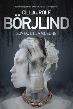 Sov du lilla videung (e-bok) av Rolf Börjlind,