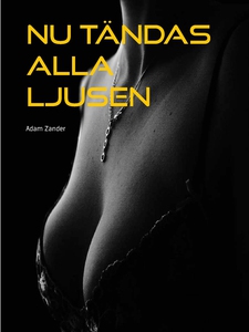 Nu tändas alla ljusen: En erotisk novell (e-bok