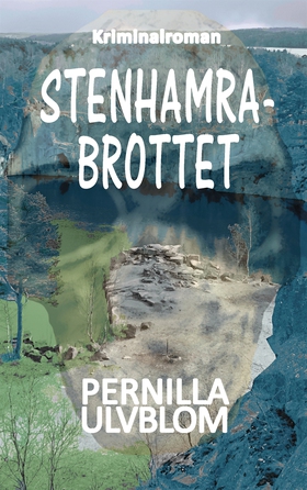 Stenhamrabrottet: Kriminalroman (e-bok) av Pern