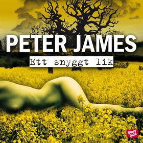 Ett snyggt lik (ljudbok) av Peter James