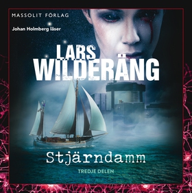 Stjärndamm (ljudbok) av Lars Wilderäng