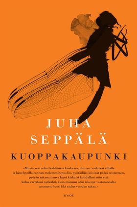 Kuoppakaupunki (e-bok) av Juha Seppälä