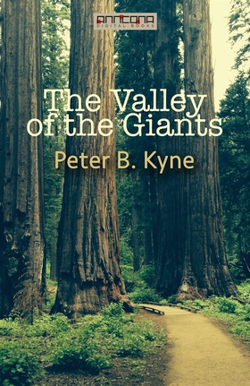 The Valley of the Giants (e-bok) av Peter B. Ky